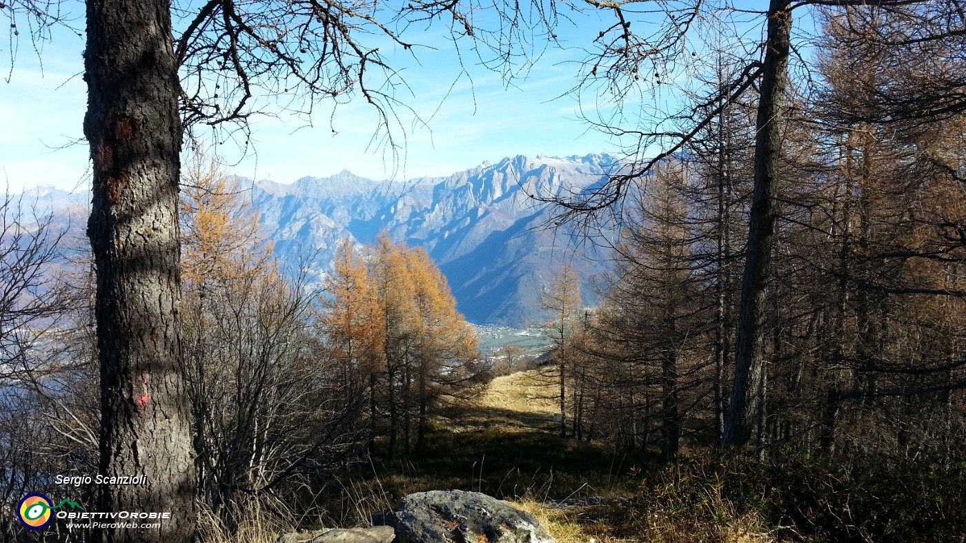 25 PANORAMI.jpg